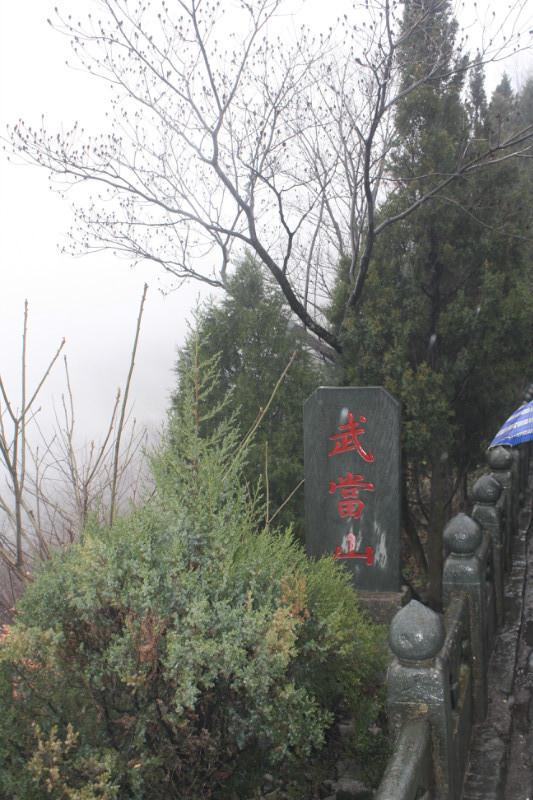 ̫���ǹ���(�й�)�������޹�˾