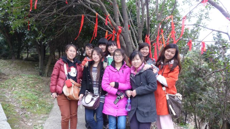 ̫���ǹ���(�й�)�������޹�˾