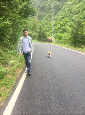 ̫���ǹ���(�й�)�������޹�˾