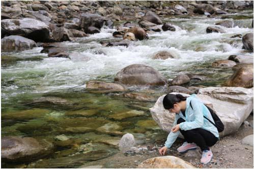 ̫���ǹ���(�й�)�������޹�˾