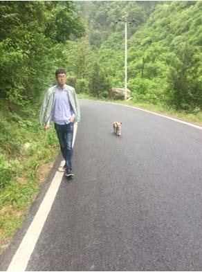 ̫���ǹ���(�й�)�������޹�˾