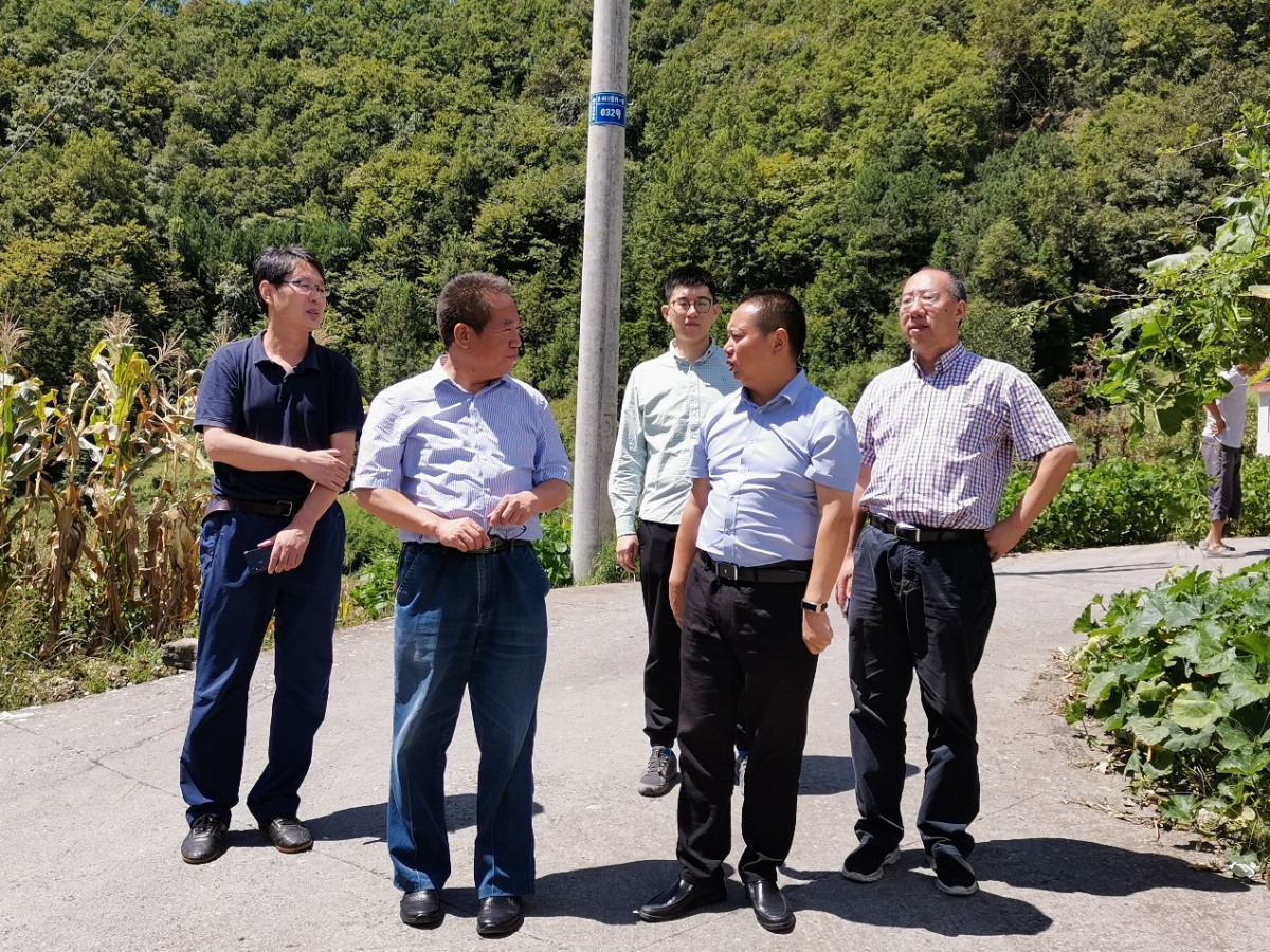 ̫���ǹ���(�й�)�������޹�˾