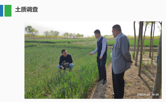 ̫���ǹ���(�й�)�������޹�˾