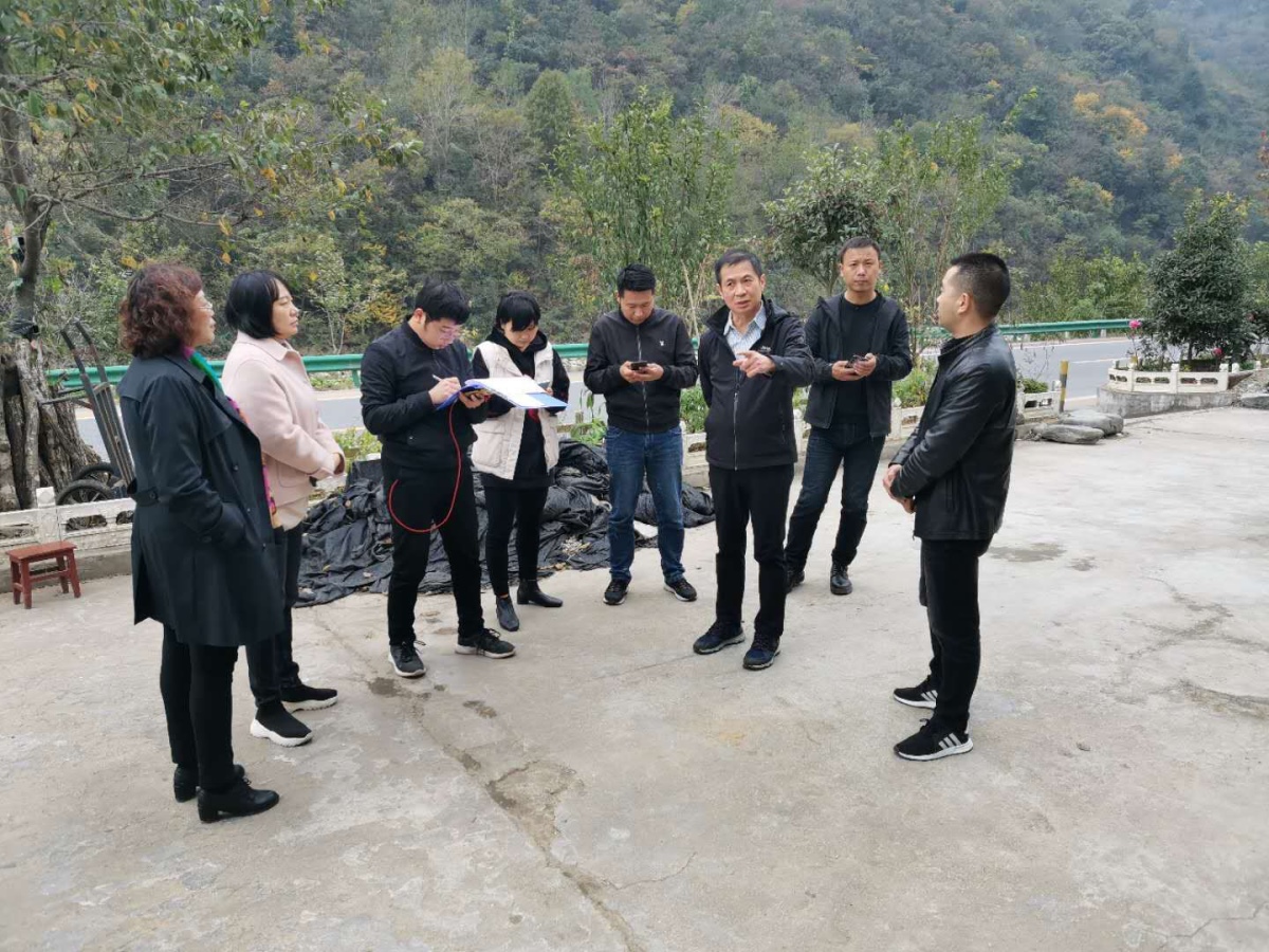 ̫���ǹ���(�й�)�������޹�˾