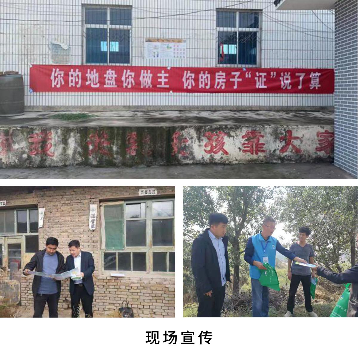 ̫���ǹ���(�й�)�������޹�˾