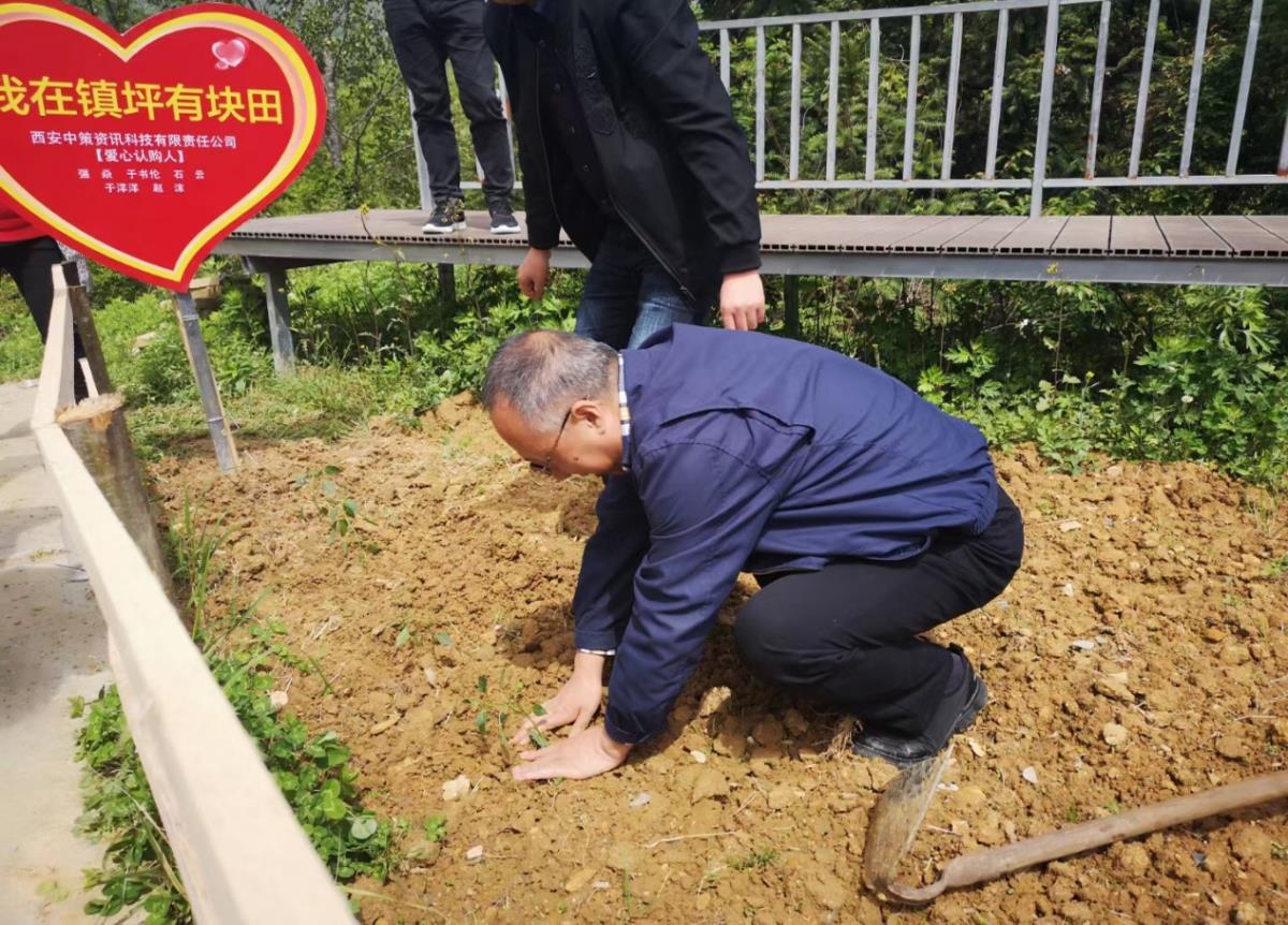 ̫���ǹ���(�й�)�������޹�˾