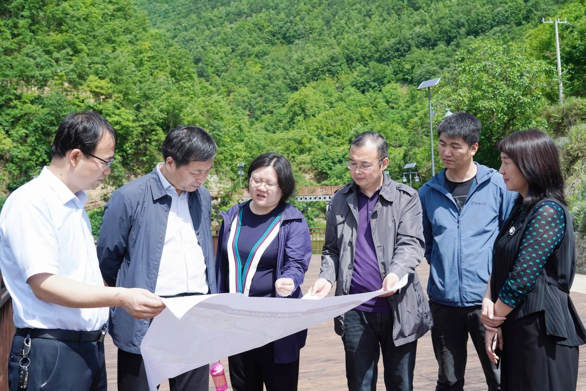 ̫���ǹ���(�й�)�������޹�˾