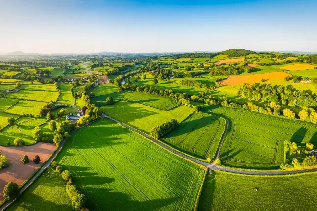 Ì«Ñô³Ç¹ÙÍø(Öйú)¼¯ÍÅÓÐÏÞ¹«Ë¾