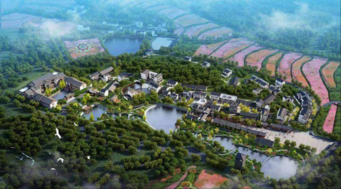 ̫���ǹ���(�й�)�������޹�˾