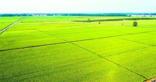 ̫���ǹ���(�й�)�������޹�˾