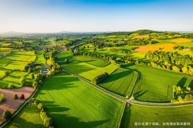 ̫���ǹ���(�й�)�������޹�˾