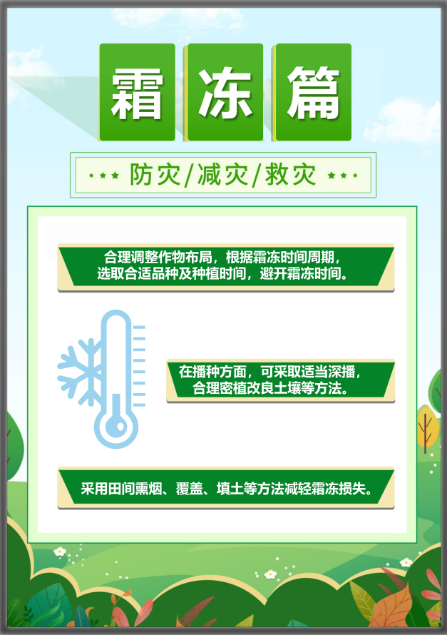 ̫���ǹ���(�й�)�������޹�˾