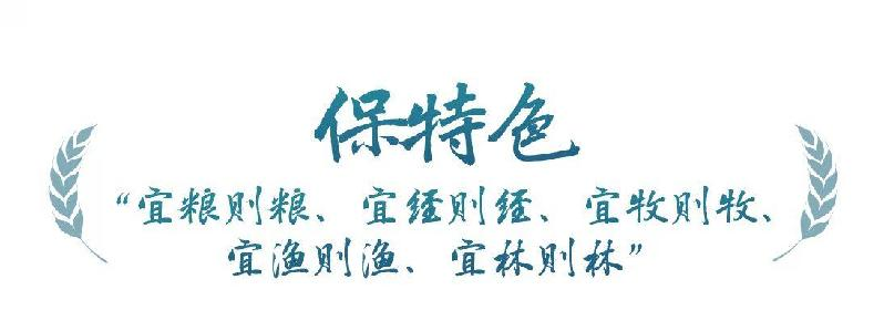 ̫���ǹ���(�й�)�������޹�˾