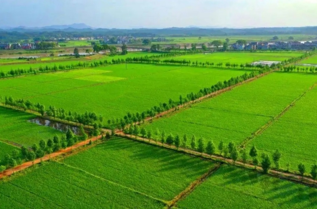 ̫���ǹ���(�й�)�������޹�˾