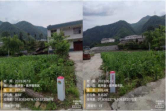 ̫���ǹ���(�й�)�������޹�˾