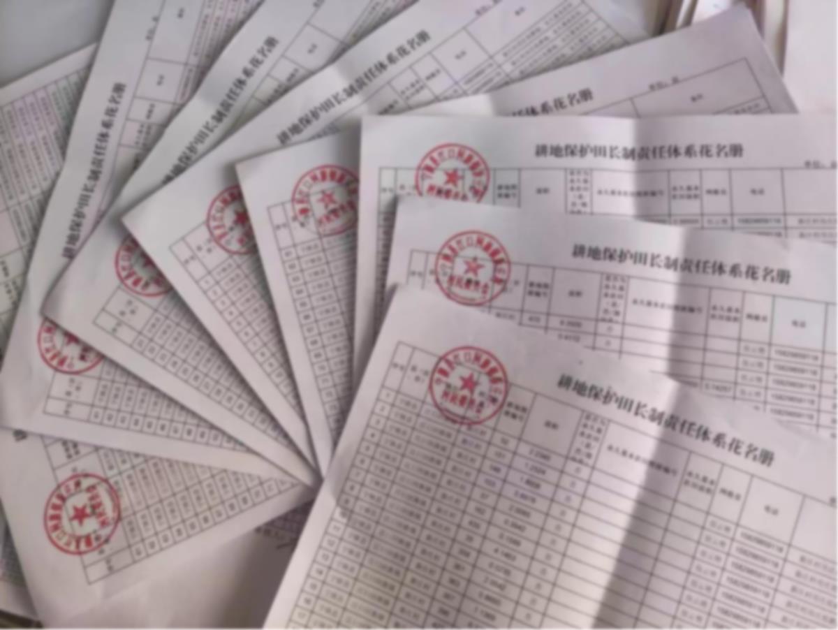 ̫���ǹ���(�й�)�������޹�˾