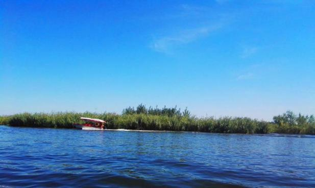 ̫���ǹ���(�й�)�������޹�˾