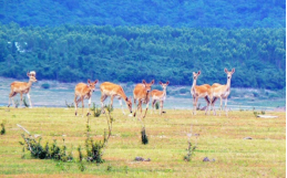 ̫���ǹ���(�й�)�������޹�˾