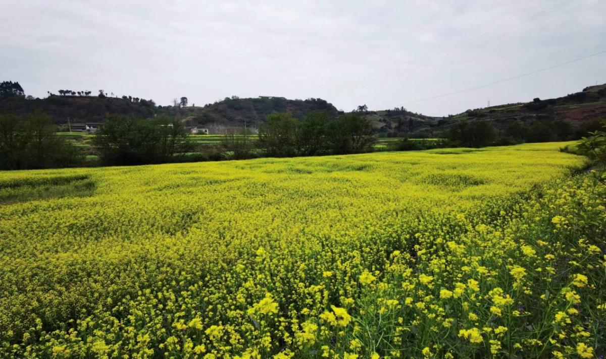 Ì«Ñô³Ç¹ÙÍø(Öйú)¼¯ÍÅÓÐÏÞ¹«Ë¾