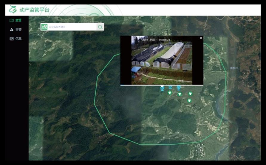 ̫���ǹ���(�й�)�������޹�˾