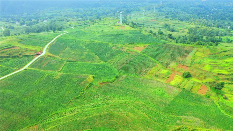 ̫���ǹ���(�й�)�������޹�˾