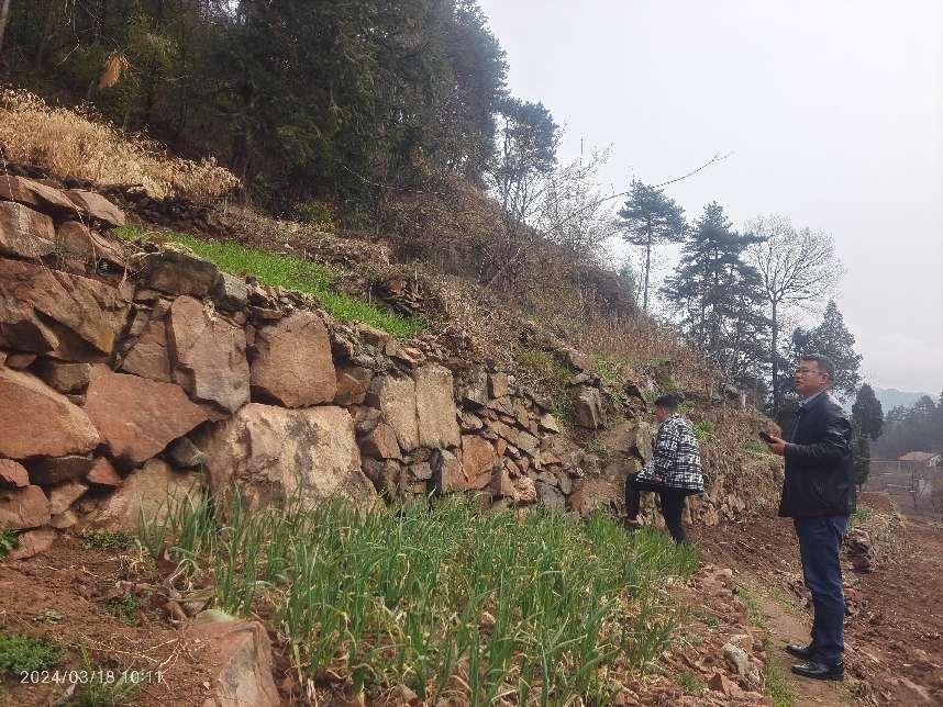 ̫���ǹ���(�й�)�������޹�˾