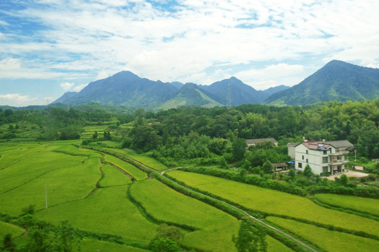 Ì«Ñô³Ç¹ÙÍø(Öйú)¼¯ÍÅÓÐÏÞ¹«Ë¾