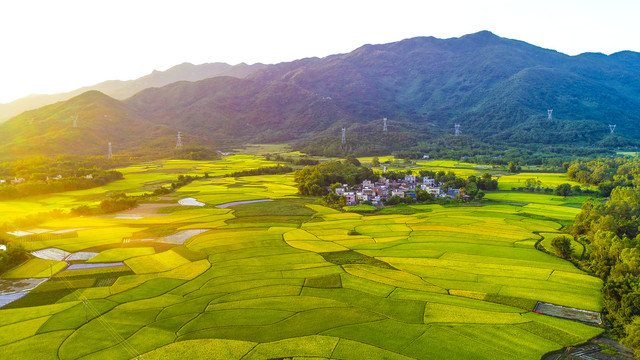 Ì«Ñô³Ç¹ÙÍø(Öйú)¼¯ÍÅÓÐÏÞ¹«Ë¾