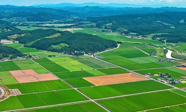 ̫���ǹ���(�й�)�������޹�˾