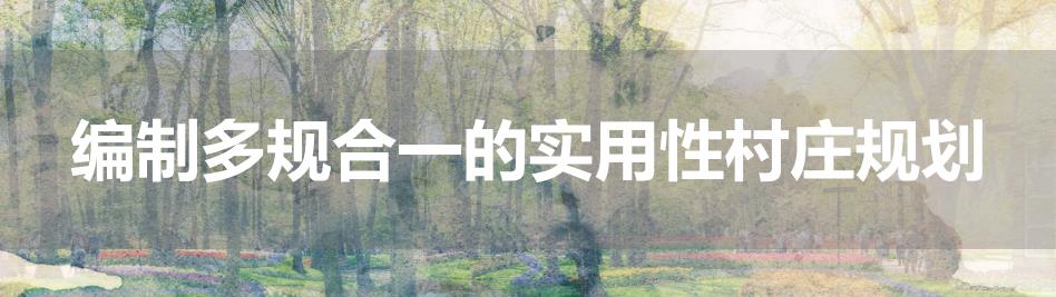 ̫���ǹ���(�й�)�������޹�˾