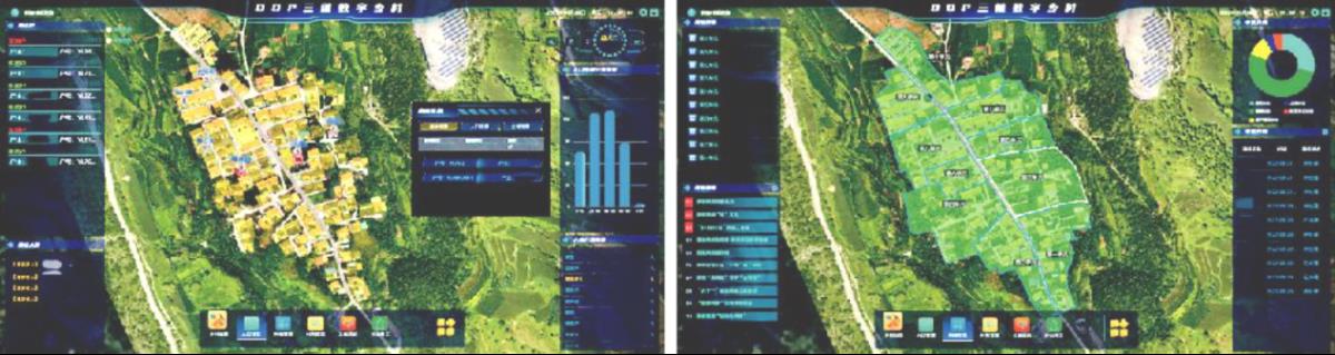 ̫���ǹ���(�й�)�������޹�˾