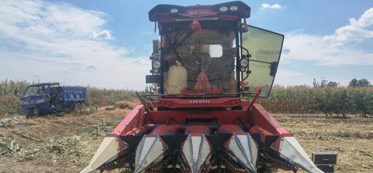 ̫���ǹ���(�й�)�������޹�˾