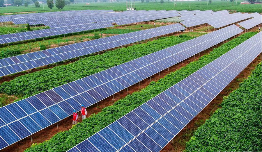 ̫���ǹ���(�й�)�������޹�˾