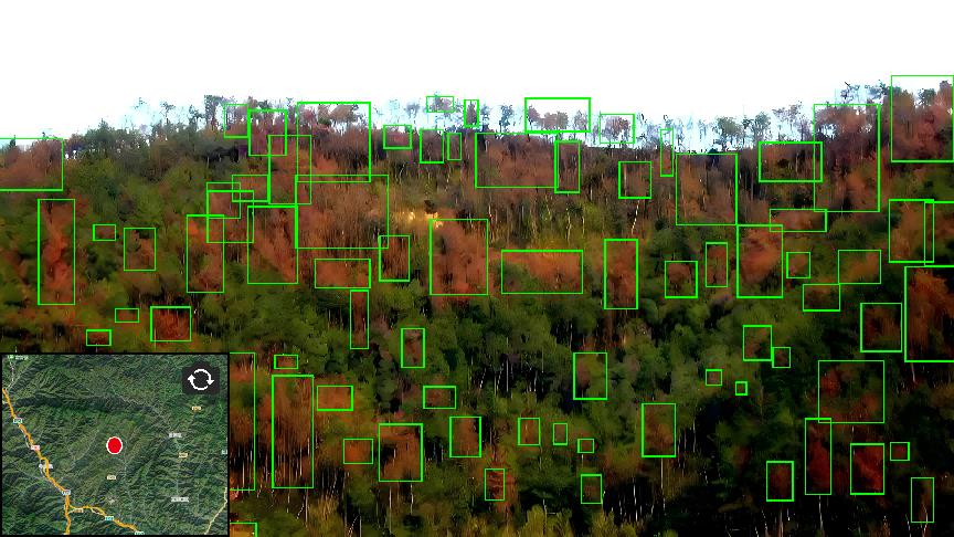 ̫���ǹ���(�й�)�������޹�˾