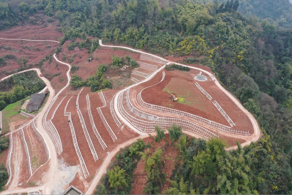 ̫���ǹ���(�й�)�������޹�˾