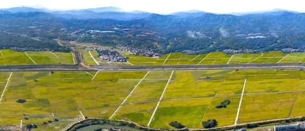 ̫���ǹ���(�й�)�������޹�˾