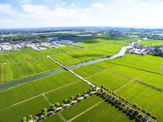 ̫���ǹ���(�й�)�������޹�˾