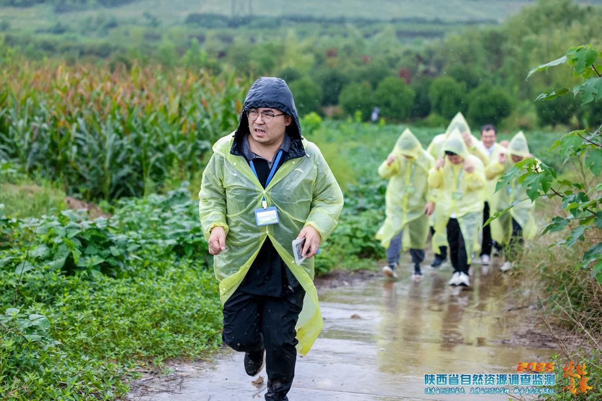 ̫���ǹ���(�й�)�������޹�˾